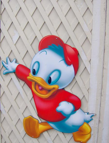 un des 3 neveux de pixou