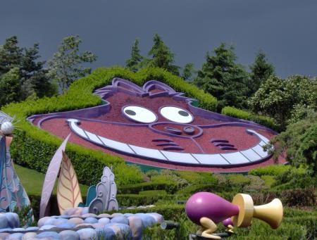 le labyrinte d'alice au pays des merveilles